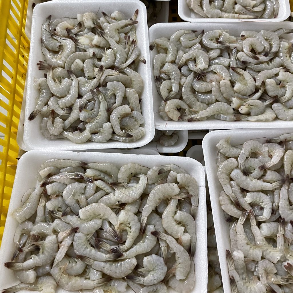 Frozen Vannamei Shrimp Exporters at Factory Price - Vietnam